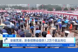 1.2万个就业岗位！安徽芜湖举办新春招聘会，这些技术工种缺口大→图片
