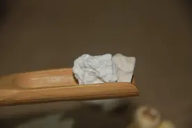 瑞龙中药大讲堂｜茯苓图片