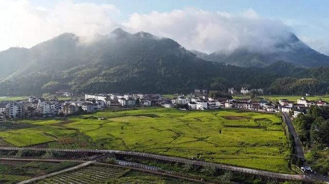 世界最大、亚洲唯一！今晨，他们在30000多棵楠木、8600亩森林，1500年的时光里奔跑......