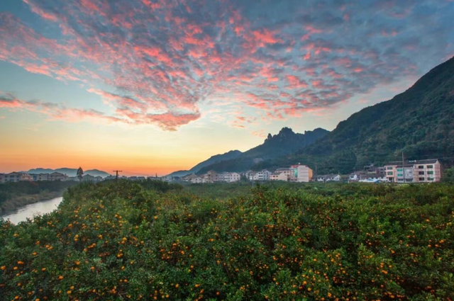邂逅江南秋冬之美，浙江推出20条秋冬季乡村旅游精品线路