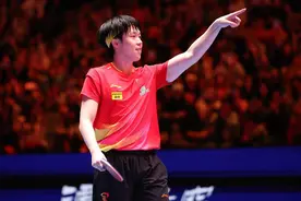 多哈世乒赛种子位抽签揭晓，女单最稳 男双最悬图片