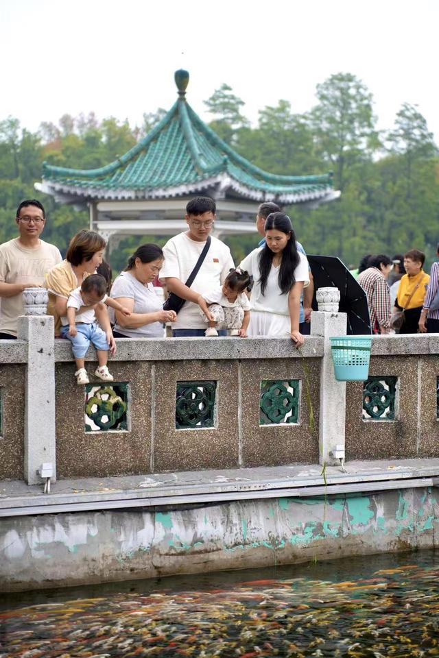 清晨升旗、湖畔红歌、楚韵游园，武汉东湖听涛景区拉满国庆仪式感