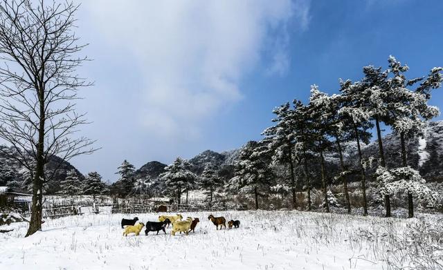 “冬游巴中·暖心之旅”三条主题线路解锁冬日限定美好