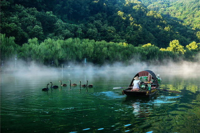 豫见两山 绿色答卷丨生态之旅——打卡“中原肺叶”栾川县