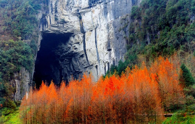 北北第一次推荐：湖北以外的打卡地