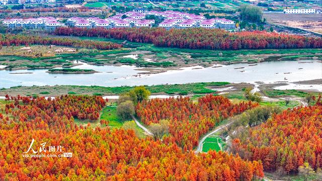 浙江淳安：武强溪生态湿地五彩斑斓
