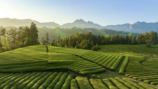 外交部赵立坚热情推荐的恩施这4个地方，究竟有多美？