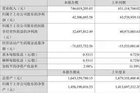 聚胶股份：2023年上半年净利润4250.67万元 同比下降2.37%图片