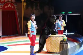 图集丨来湘江欢乐海洋公园，开启一场与蔚蓝海洋的浪漫之约图片