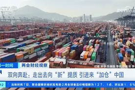 央视两会专题聚焦！外贸有盐田港，够稳！图片