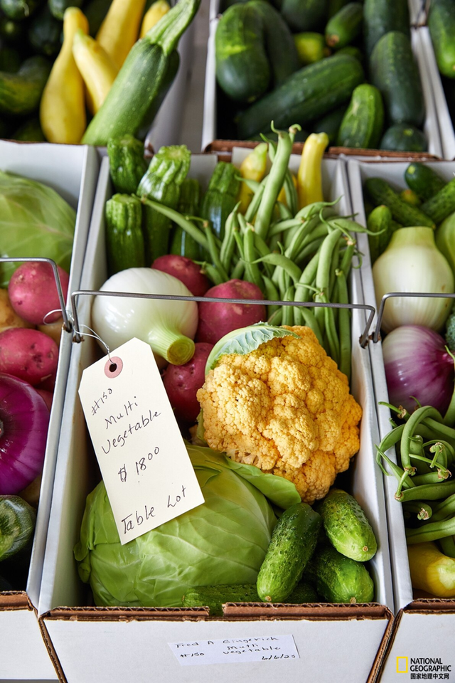 食物，了解田纳西州阿米什乡的独特窗户