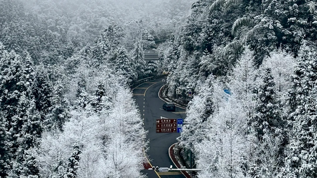 红绿交融，荣耀上榜！解锁最美井冈山的限定冬韵