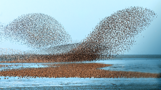 “暖冬遇见防城港”之山海暖你·边关约你丹东推介会举办