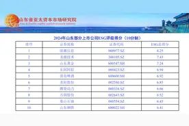 山东上市公司ESG研究报告发布！浪潮信息ESG总得分拔头筹图片