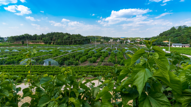 乐游绵阳 清凉一夏 ‖ 追一场演唱会，赴一场城市漫游，这个七夕，恋在涪城~