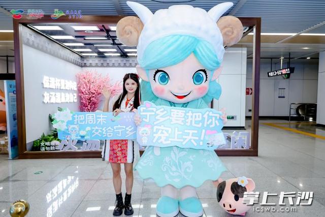 光影织彩，全域共鸣！宁乡以“两个融合”为笔墨，绘就农文旅产业融合发展新图景