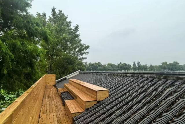 上海人的“宝藏后花园”全面升级啦！水上森林玩出新花样，这份攻略请收好！