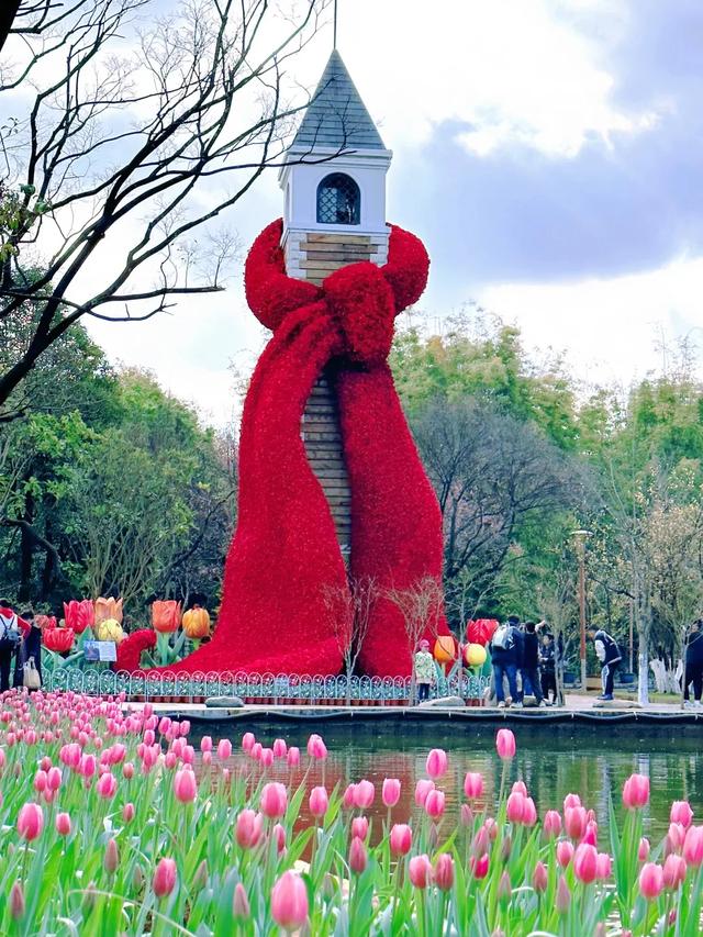 冬樱花、梅花、郁金香、虞美人......昆明最全赏花攻略请查收