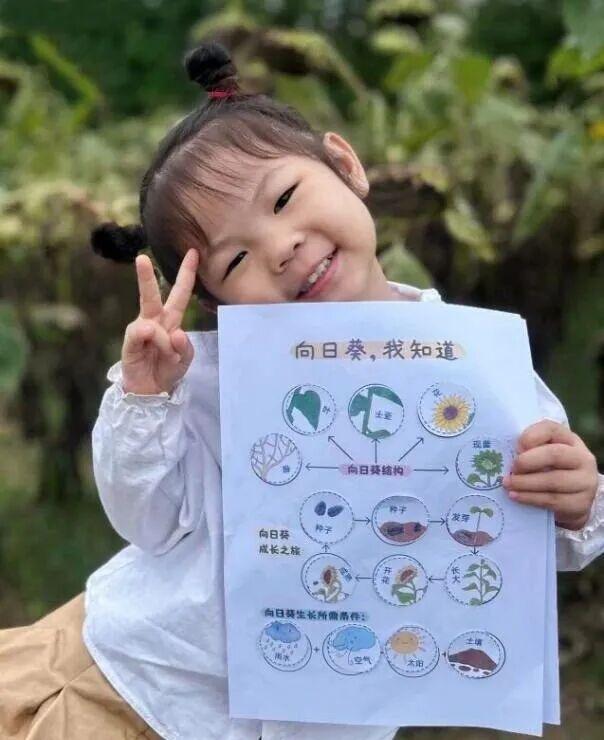 宜美家园 共同创造丨宜宾城区这片花海正在打造！预计呈现时间→