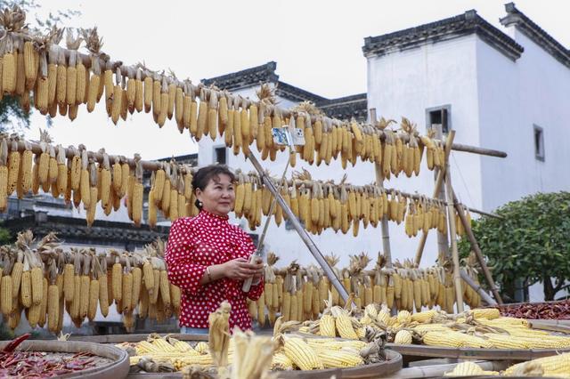 安徽黄山：唐模晒秋 引客打卡