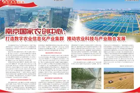 南京国家农创中心：打造数字农业信息化产业集群  推动农业科技与产业融合发展图片