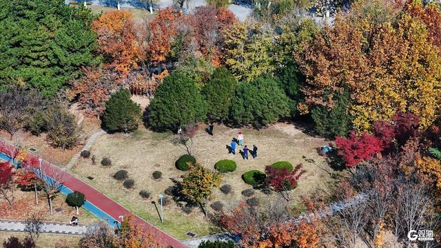 街角的光影、海边的风、林间的静谧……Mark秋日限定诗意