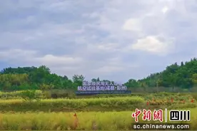 成都无人机试飞基地助力低空经济发展图片