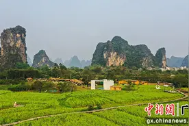 “光影夜游”照亮电影《刘三姐》取景地田园山水 阳朔添休闲游新活力图片