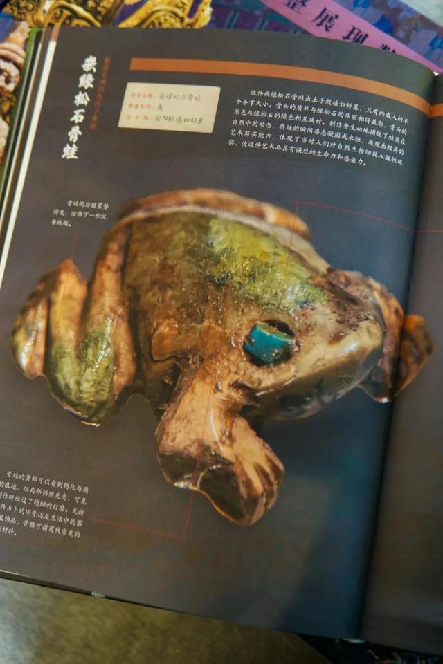第一批带孩子跟风去博物馆打卡的受害者，已经出现了......