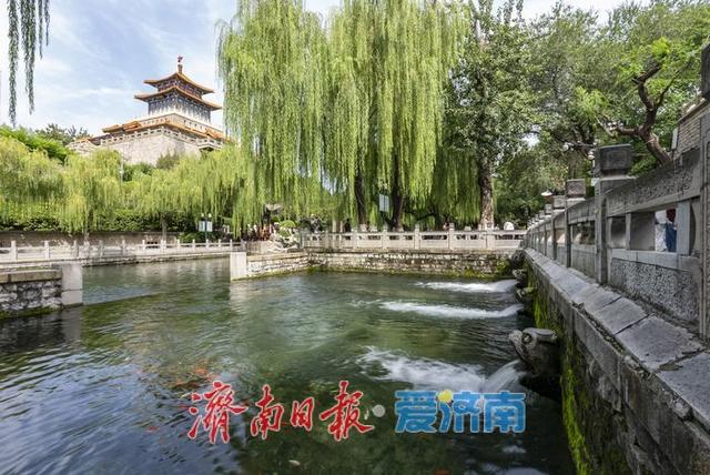 济南黑虎泉水位升至29.21米！创今年新高，喷涌声势如雷贯耳！
