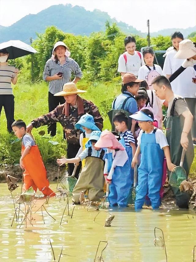 2025华侨城旅游狂欢节光明分会场实现游客接待量与经营效益双增长