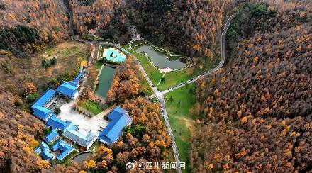 四川广元：山山秋色如画 树树红叶醉人