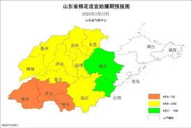 棉花、花生啥时候种最好？气候中心：棉花4月4日-14日 花生4月16-5月5日图片