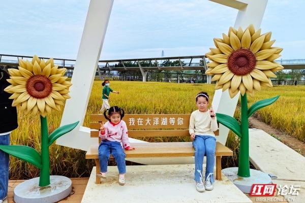 每一片叶子，都是大地写就的诗行——向野而生的大泽湖湿地公园