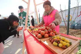 踏青出游一站式体验，平谷东高村镇西红柿尝鲜季开幕图片