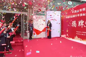 平顶山市创业担保贷款“一站式”服务中心揭牌成立图片