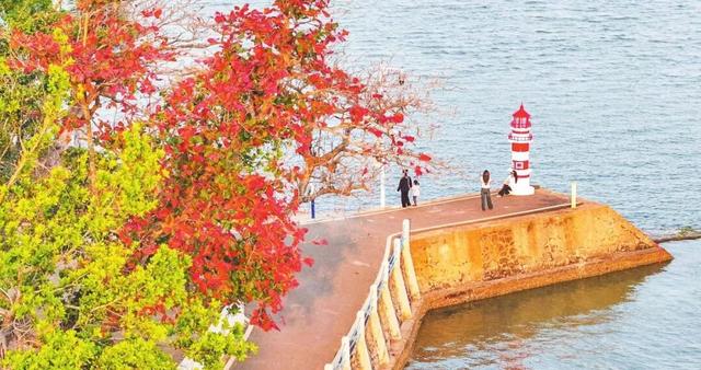 演唱会没嗨够？转场美兰这10个地方！火星人与KatyCats的游玩攻略→