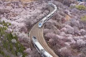 踏上“开往春天的列车”，带你穿越烂漫花海图片