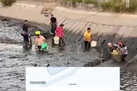 网红博主在湘潭承包鱼塘后被村民抢鱼？当地村民：博主主动要村民去抓鱼图片