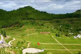 “天府庆丰收 农博看粮仓”第九届四川农业博览会大型调研行走活动今日启程图片