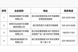 最高10000元！西安一地新能源汽车购车补贴来啦！图片