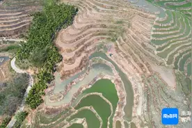藏在山里的黎族村庄变热门旅游地 五指山牙胡村旅游收入超500万元图片