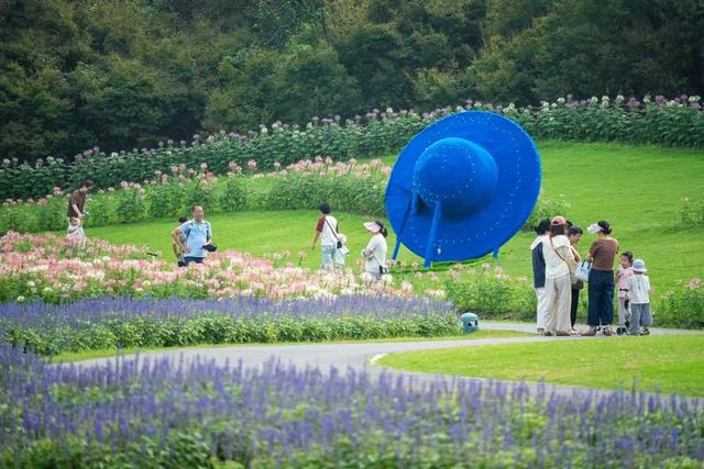 金山朱泾：一路向新 “泾”彩绽放