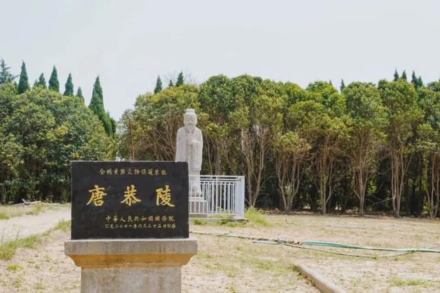 骄傲！二里头遗址荣获2025微博文化之夜“年度文化影响力遗址”