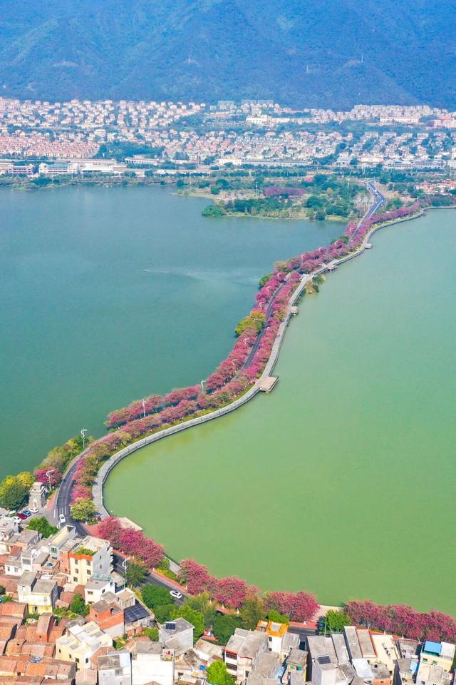 最近，星湖美景亮相广州！你发现了吗？