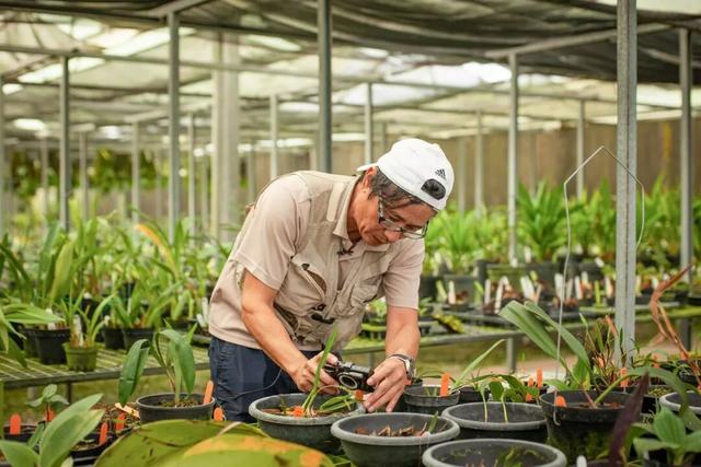 他初中毕业后终身不婚，荒野舍命工作20年，被一群博士封神