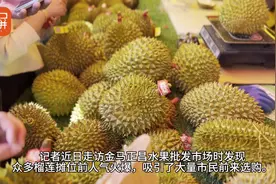 开屏策划｜实名羡慕！云南人的生活，“果”然很自由图片