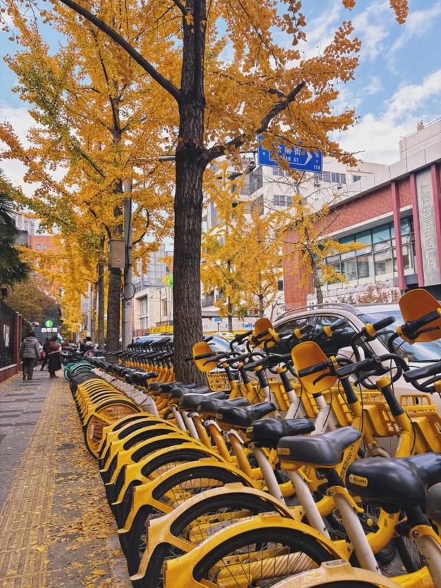 "全上海人都来了吧…"今天这条路什么情况？大堵车！还有30万人抢破头↗