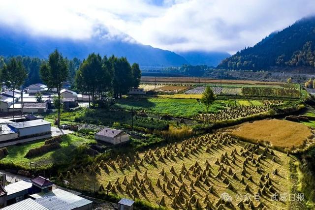 组图｜沿武仙高速 邂逅祁连秋景②