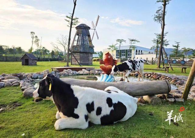 首条牛肉美食街国庆“开街”！高明这些新玩法重新定义你的黄金周